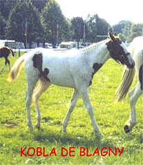 kobla de  blagny