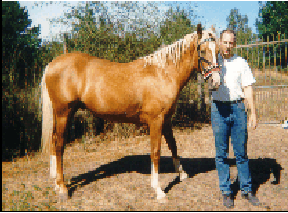 iago du clos